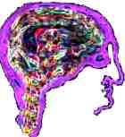 a pic of my brain